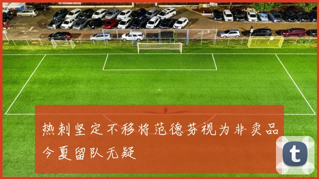 热刺坚定不移将范德芬视为非卖品今夏留队无疑